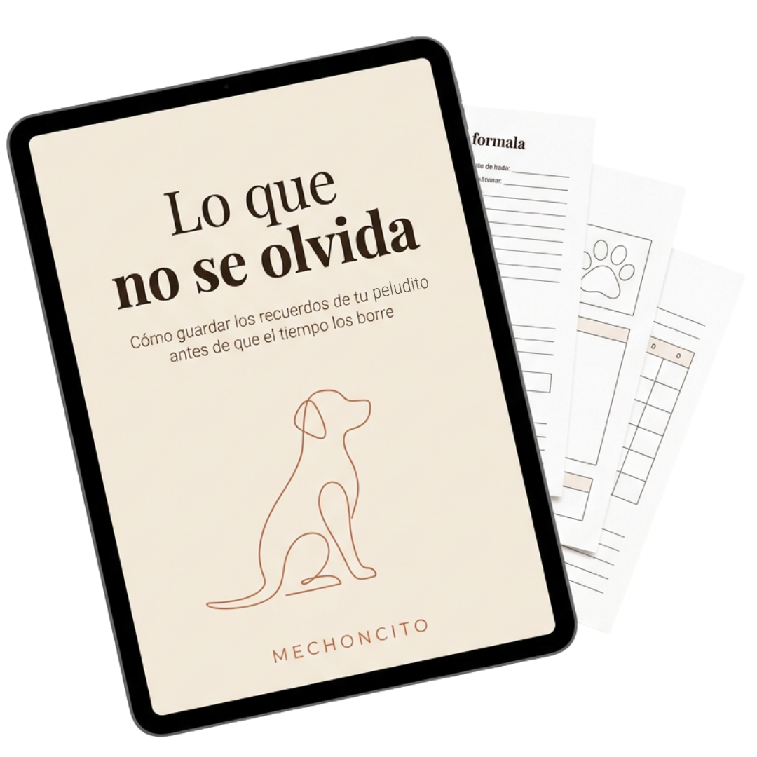 Libro Digital: Lo que no se olvida