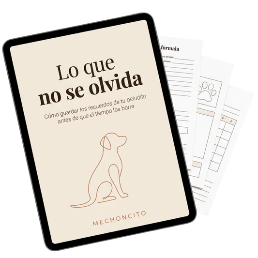 Libro Digital: Lo que no se olvida