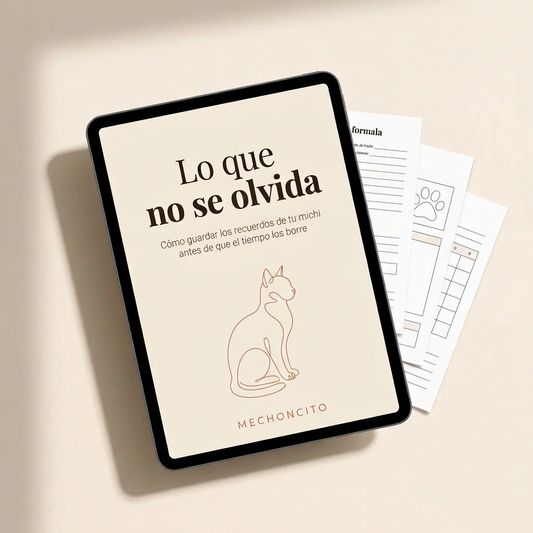 Libro digital: Lo que no se olvida Michi